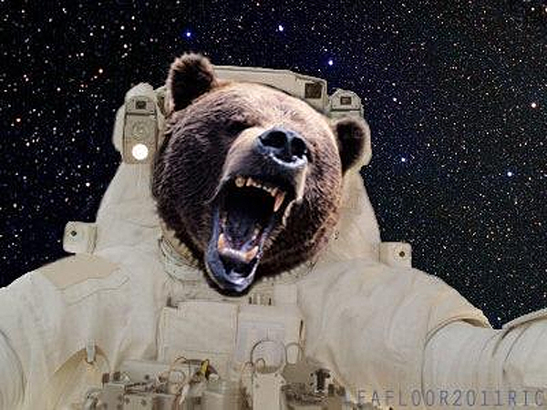 Female space marines would attract space bears.